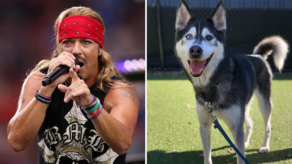 Bret Michaels de POISON adoptó a un perro que se llama Bret Michaels